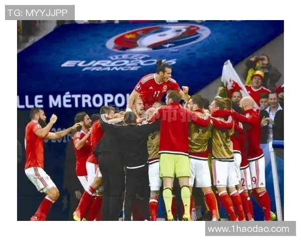 斯洛伐克与威尔士足球赛前瞻及胜负预测分析